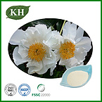 White Peony Extract Powder