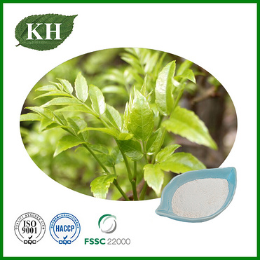 Vine Tea Extract Powder