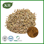 Dill Seed Extract Powder