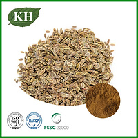 Dill Seed Extract Powder