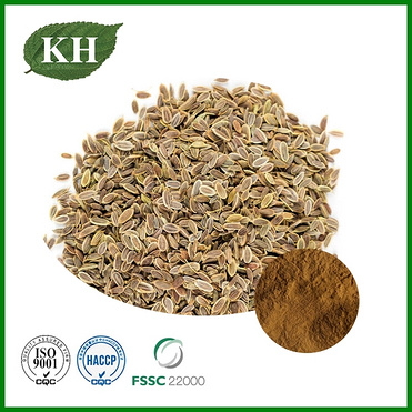 Dill Seed Extract Powder