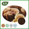 Reishi Mushroom Extract Powder