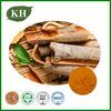 Cinnamon Bark Extract Powder