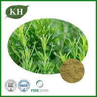 Rosemary Extract Powder