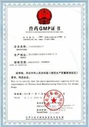 Certificate of good manufacturing practices for an