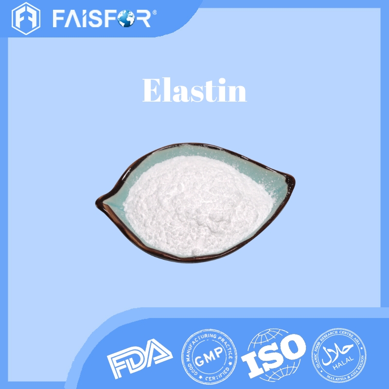 High-Quality Elastin for Skin Health and Collagen Support  
