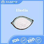 High-Quality Elastin for Skin Health and Collagen Support