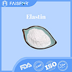 High-Quality Elastin for Skin Health and Collagen Support