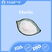 High-Quality Elastin for Skin Health and Collagen Support