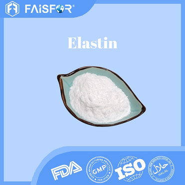 High-Quality Elastin for Skin Health and Collagen Support