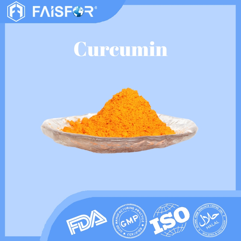 Wholesale Top Grade Curcumin Powder with Halal  