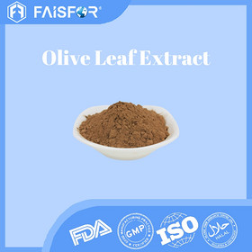 High-Quality Olive Leaf Extract for Skin Care and Hydration