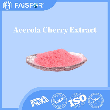 Bulk Sale Food Grade Acerola Cherry Extract for Immune Support