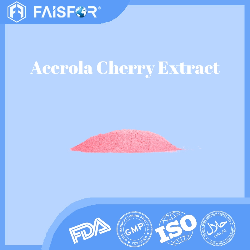 Bulk Sale Food Grade Acerola Cherry Extract for Immune Support  