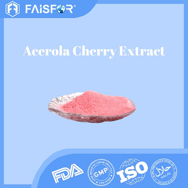 Bulk Sale Food Grade Acerola Cherry Extract for Immune Support