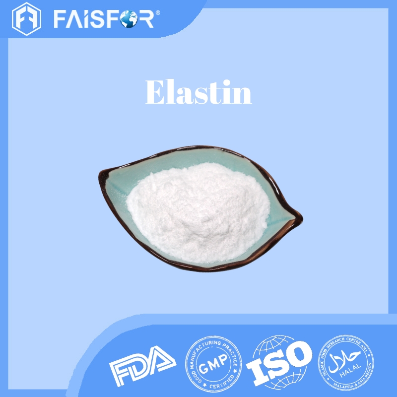 High-Quality Elastin for Skin Health and Collagen Support  