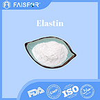 High-Quality Elastin for Skin Health and Collagen Support