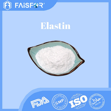 High-Quality Elastin for Skin Health and Collagen Support