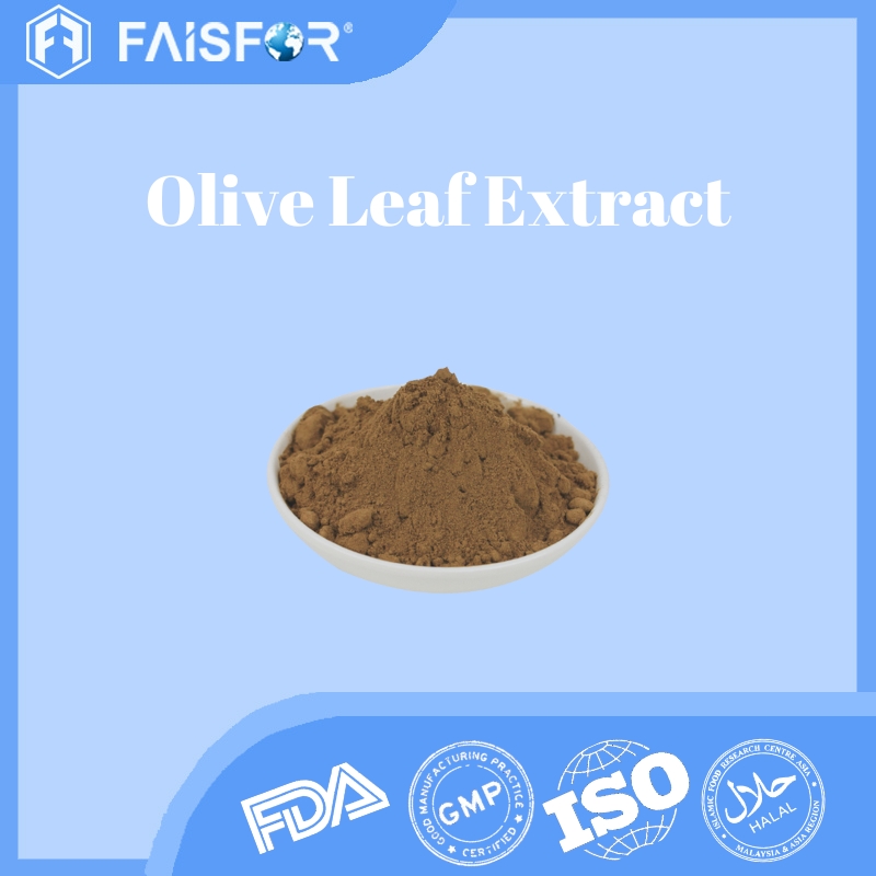 High-Quality Olive Leaf Extract for Skin Care and Hydration  