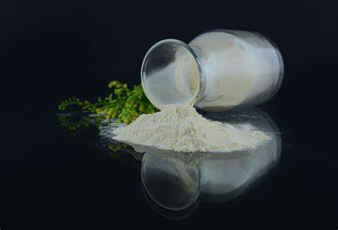 Dinitolmide  