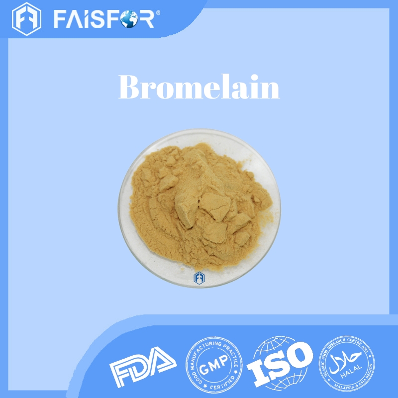 Wholesale Bromelain for Anti-Inflammation and Protein Digestion  