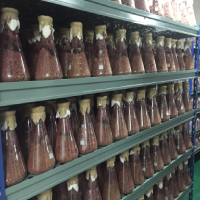 Pure Natural  Fermented Red Yeast Rice Powder  