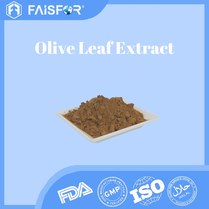 High-Quality Olive Leaf Extract for Skin Care and Hydration  