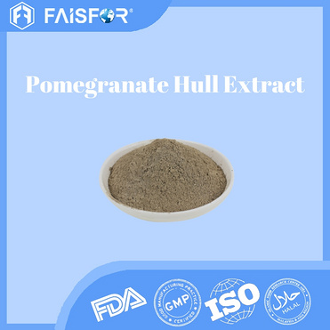 Wholesale Pomegranate Hull Extract for Brain Health and Memory