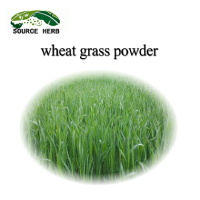 Natural Organic Wheat Grass Powder  