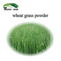 Natural Organic Wheat Grass Powder