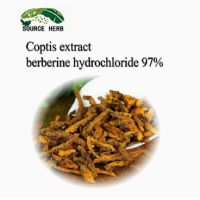 Natural Coptis Chinensis Root Extract Berberine Hydrochloride 97% Powder  