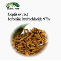 Natural Coptis Chinensis Root Extract Berberine Hydrochloride 97% Powder