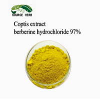 Natural Coptis Chinensis Root Extract Berberine Hydrochloride 97% Powder  