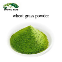 Natural Organic Wheat Grass Powder