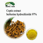 Natural Coptis Chinensis Root Extract Berberine Hydrochloride 97% Powder