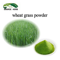 Natural Organic Wheat Grass Powder  