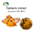 Organic Turmeric Root Extract 95% Curcumin Powder