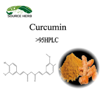 Organic Turmeric Root Extract 95% Curcumin Powder  