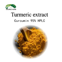 Organic Turmeric Root Extract 95% Curcumin Powder  