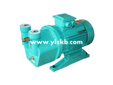 Liquid Ring Vacuum Pump Model SK-2