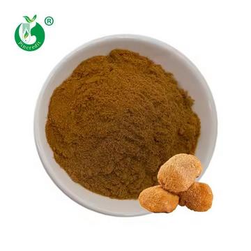 Organic Lion’s Mane Mushroom Extract Powder