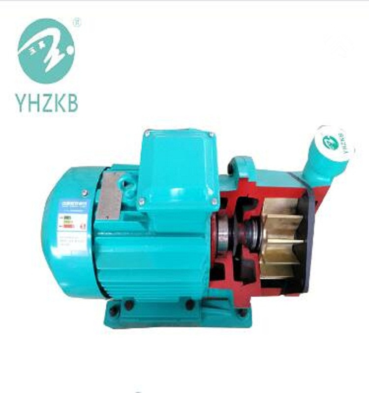 Liquid Ring Vacuum Pump Model SK-0.3  