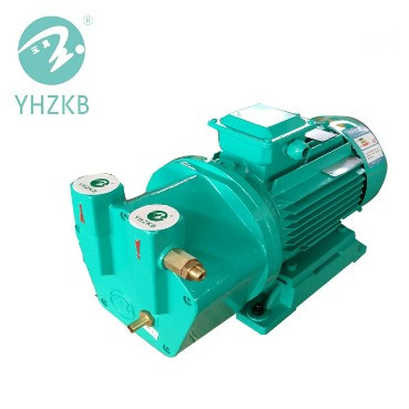 Liquid Ring Vacuum Pump Model SK-0.3  