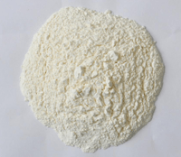 Type II Collagen (Undenatured)