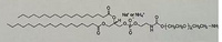 DSPE-PEG-NH₂