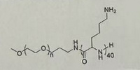mPEG-P(LYS)₄₀