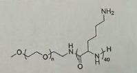 mPEG-P(LYS)₄₀(ethylamine)