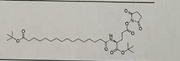 L-tBuO-Pal-Glu(OSu)-OtBu