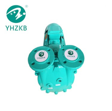 Liquid Ring Vacuum Pump Model SK-9D  