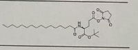 Pal-Glu(0Su)-0tBu